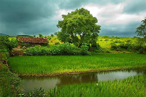 पाऊस कमी आल्यांनतर गोव्याच्या सुंदरतेत आणखी भर पडते