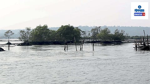 St. Andre: हा वगळून नागोणजो – खेडो बांध प्रथम बांधल्यास तो कोसळण्याची भीती आहे