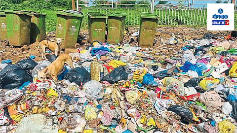 Mapusa Municipal Council:  पालिकेने मध्यरात्रीपर्यंत ४५ लोकांवर दंडात्मक कारवाई करून प्रत्येकी पाच हजाराचा दंड ठोठावला