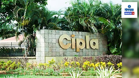 Cipla Share Price: सिप्लाच्या गोव्यातील प्लांटला Good Tag; कंपनीच्या शेअर्समध्ये 10 टक्के वाढ