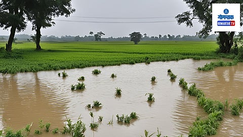 Farmer Compensation: शेतकऱ्यांना देण्यात येणाऱ्या या भरपाईची फाईल वित्त विभागात पाठवली असून तिथे मंजुरी मिळाल्यानंतर आठवड्याभरात शेतकऱ्यांना भरपाई देणार 
