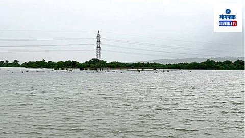 Khazan: राज्यातील सर्वात मोठी कुंभारजुवे आणि नेवरा या दोन खाजन जमीन तिसवाडी तालुक्यात आहे