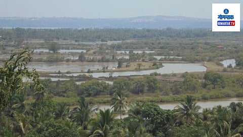 Borim Farmers: बोरी पुलाच्या बांधकामापासून शेत व खाजन जमिनीचे रक्षण करण्याची मागणी करण्यात आली आहे