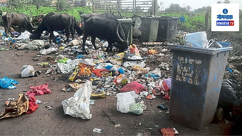 Mapusa Waste Issue: म्हापसा पालिका क्षेत्रातील वीसही प्रभागात कचऱ्याच्या राशी पडलेल्या आहेत