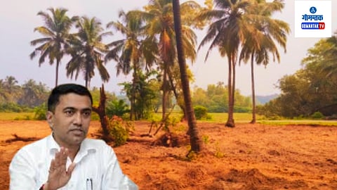 Price Hike in Pernem and Bardez