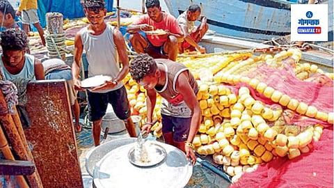 Cholera Cases: बाेटीवरच राहणे, जेवणे, आंघोळ करणे आणि नैसर्गिक विधीसुद्धा बोटींवरूनच करणे हे या कामगारांचे रोजचे जीवन बनले आहे