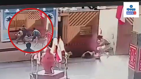 Konkan Railway: धावत्या रेल्वेतून कोसळली महिला प्रवासी, RPF जवानाच्या प्रसंगावधानामुळे थोडक्यात वचावली Video