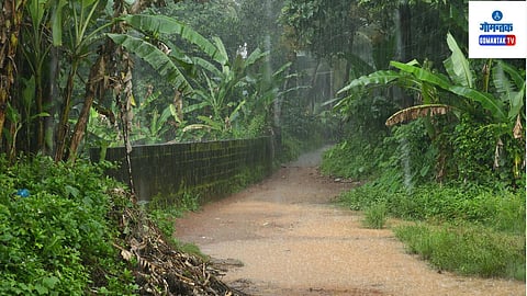 Heavy rainfall in Goa | IMD weather alert Goa