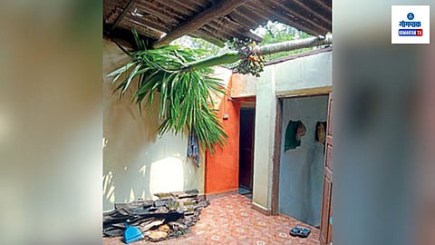Guleli Dhamse House