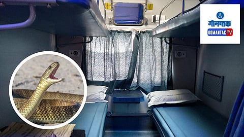 Snake In Train: झारखंड - गोवा ट्रेनच्या एसी कोचमध्ये आढळला साप, प्रवाशांची पळता भुई थोडी Video