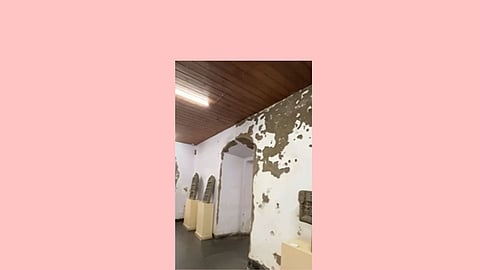 Adil Shah Palace In Goa: विकासाची लाट, आदिलशाही पॅलेसची 'वाट'; सामाजिक कार्यकर्त्या सिसील रॉड्रिगीज यांची आर्त हाक!