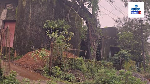Sattari Goa News: या ठिकाणी नवीन उद्योगधंदे सुरु झाल्यास अनेकांना रोजगाराची संधी मिळू शकते असे मत काही उद्योजकांनी व्यक्त केले