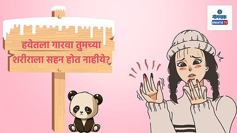 Skin Care in Winter: वाढत्या थंडीवर काही घरगुती उपाय शोधात असाल तर आज यावर काही साधे आणि सोपे मार्ग जाणून घ्या