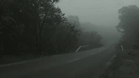 Mumbai-Goa Highway: मुंबई-गोवा महामार्गाने पांघरली धुक्याची चादर; राज्यात वाढला गारटा!