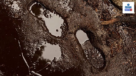 Mud