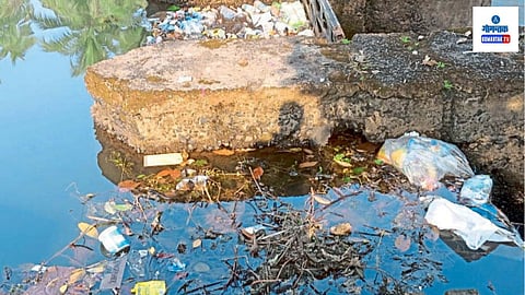 Par River: बार्देश तालुक्याच्या जीवनदायिनीचं अस्तित्व धोक्यात, ‘पार’ नदीला प्रदूषणाचा विळखा!  
