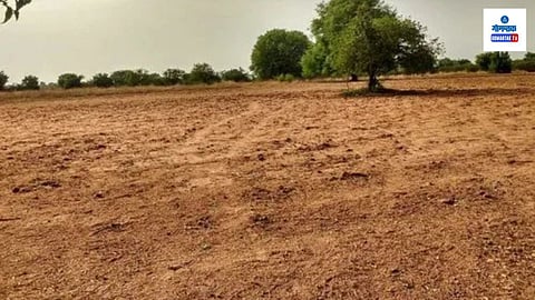 Goa Agriculture: निर्धार! कृषी क्षेत्राला उभारी देण्यासाठी नुवेतील शेतकऱ्यांचा पुढाकार; 50 हजार चौ.मी. जमीन आणणार लागवडीखाली