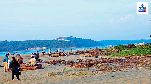Goa tourism beach stray dogs waste problem