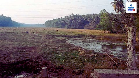 Canacona Agriculture