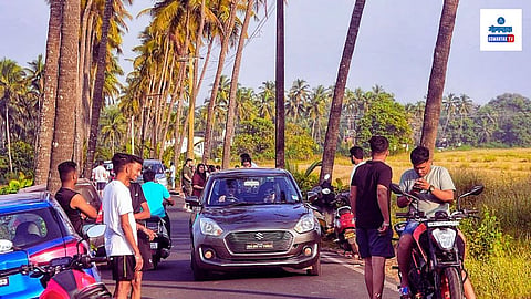 Goa Parra Coconut Tree Road