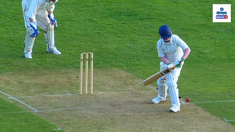 Cricket 