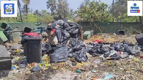Garbage Near Titos lane Calangute Baga 