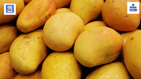 Mango prices in Panaji 