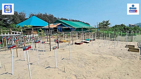 Sea Turtle Conservation Goa Beach 