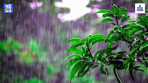 Goa weather update March 29

