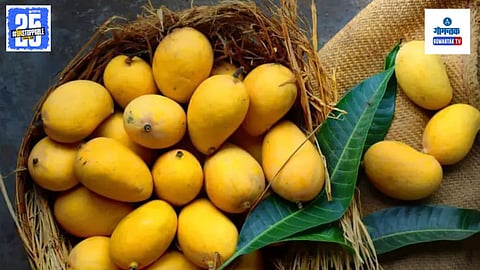 Goa Mango Price