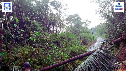 Goa April Rain News