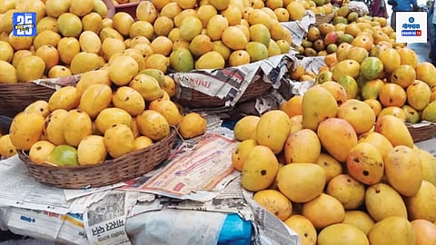 Goa Mango Rate