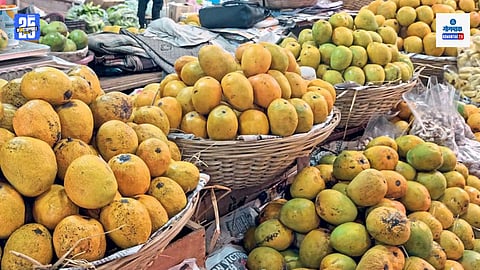  Mankurad mangoes in Goa