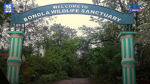 Bondla Wildlife Sanctuary Goa