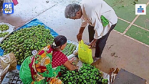 Raw Mango Rates