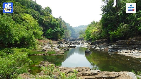 Goa Karnataka water dispute