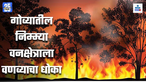 Goa Forest Fire Threat