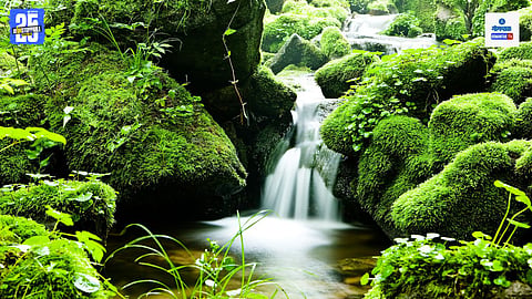 Water Stream