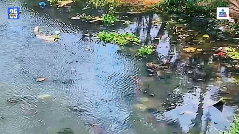 Sal River Pollution