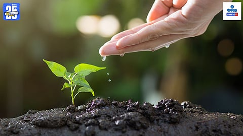 Tree plantation campaign