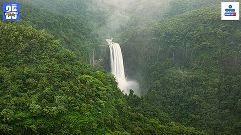 Surla Goa WaterFall 