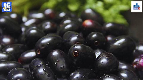 Goa Seasonal fruit Rates