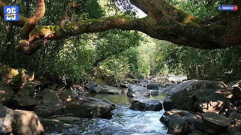 nature tourism Goa