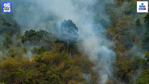 Goa Wildfire