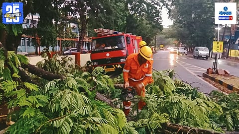 Rain Lashes Part Of Goa