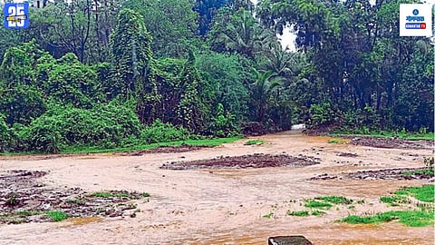 Mopa Airport Water Kasarvarne farms