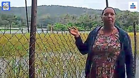 Goa Farmer