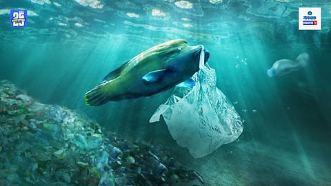 Microplastics in seafood