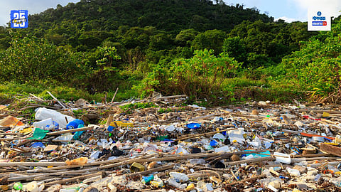 Plastic Waste In Goa