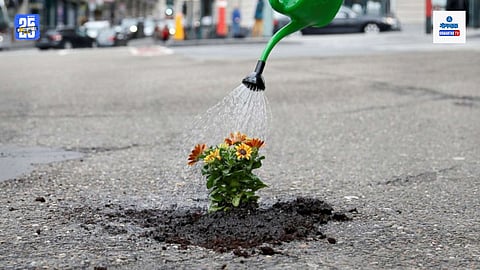 Plantation in potholes